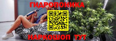 apvp Гай