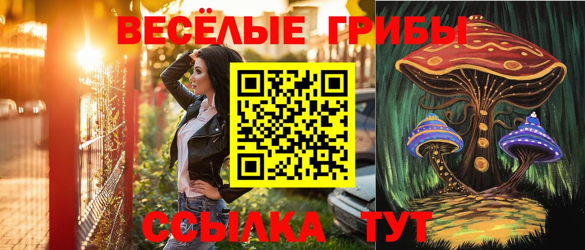 Галлюциногенные грибы Cubensis Курганинск