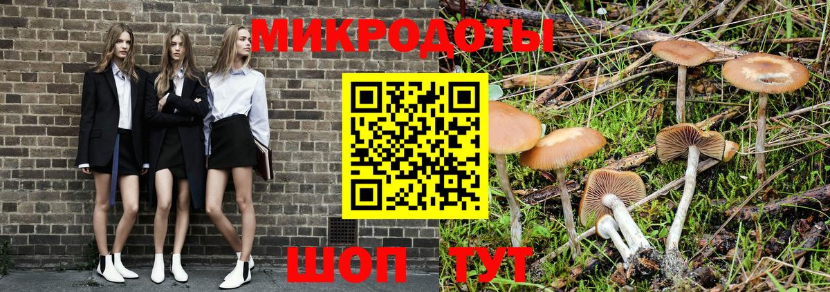 Галлюциногенные грибы Psilocybine cubensis  магазин  наркотиков  Курганинск  Вход с VPN 